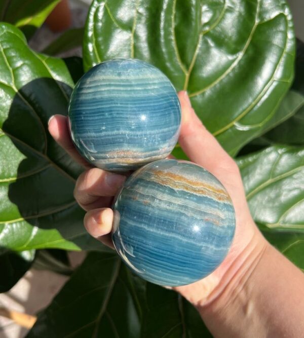 Pachafetti Bar Soap