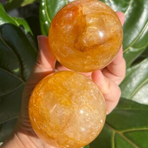 Balsam & Pine Soap