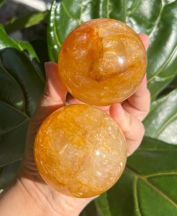 Balsam & Pine Soap