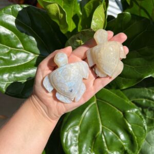 Dirty Hippie Soap
